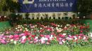 IMG-20170317-WA0011