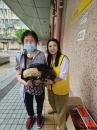 IMG-20230419-WA0028